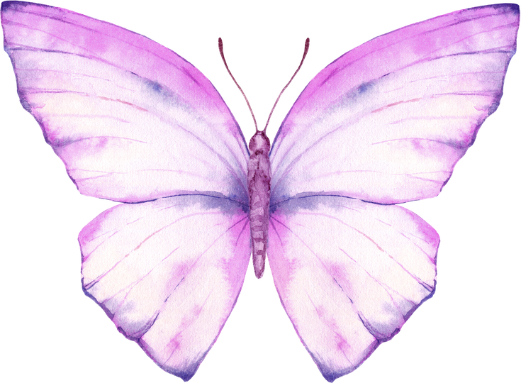 Pink Watercolor Butterfly Illustration